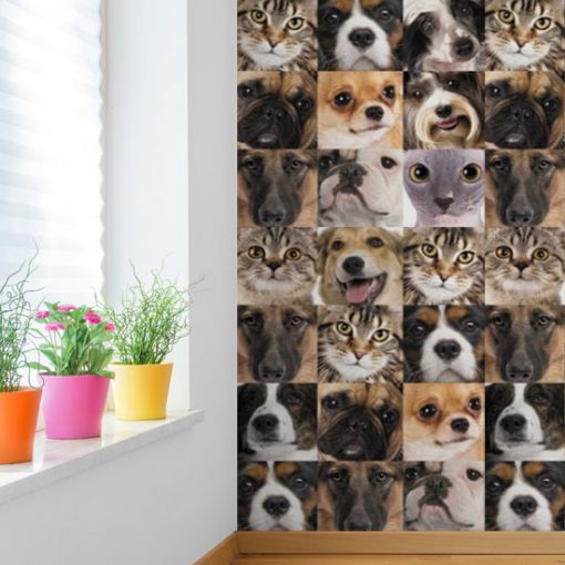 dekoracje ścian ze zwierzętami