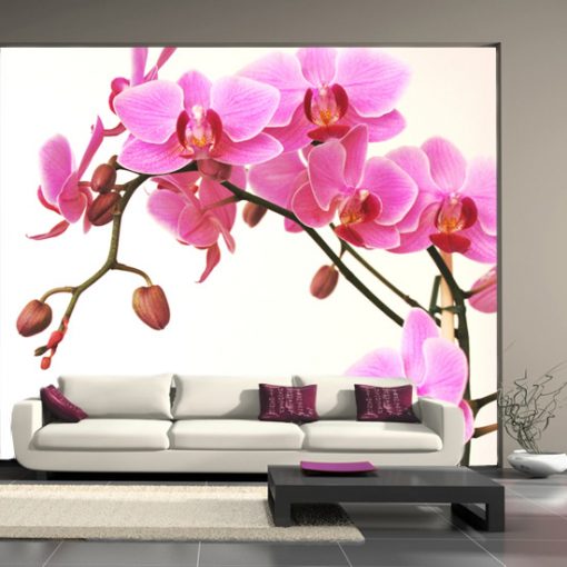 orchidea jako dekoracja