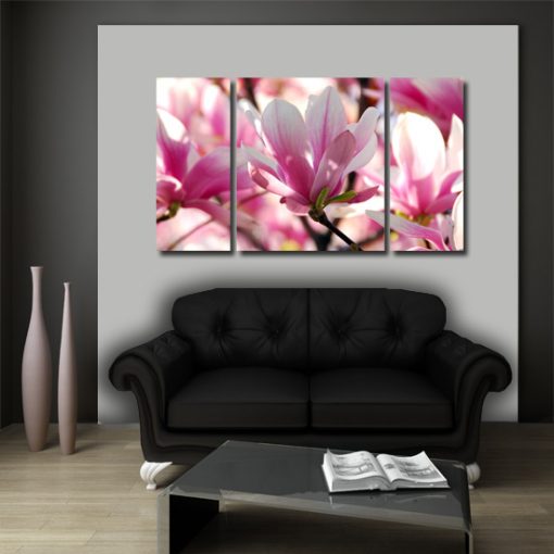 magnolie na dekoracjach