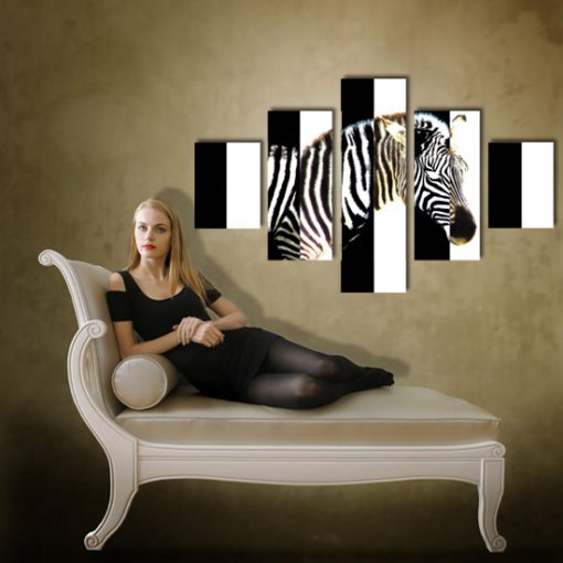 zebra na kaskadzie
