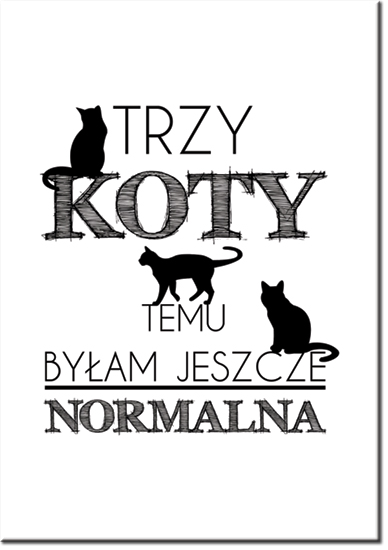 plakaty o kotach