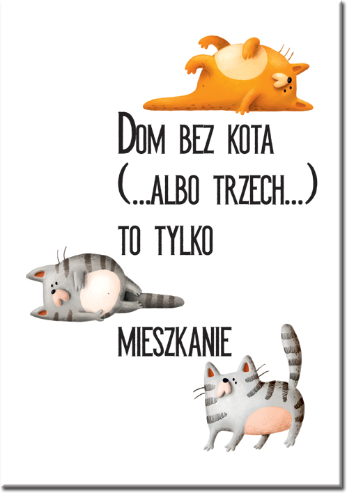 plakaty o kotach