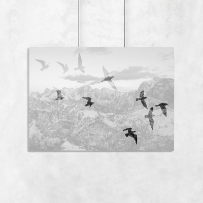 plakat z ptakami i górami