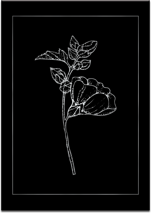 plakat metaliczny z motywem kwiatów