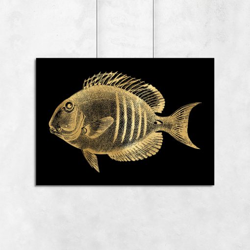 poziomy plakat z motywem rybki
