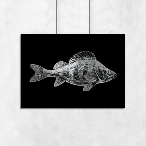 plakat srebrzony z rybą