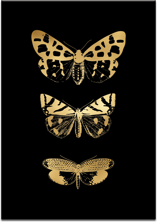metaliczny plakat z motywem motyli