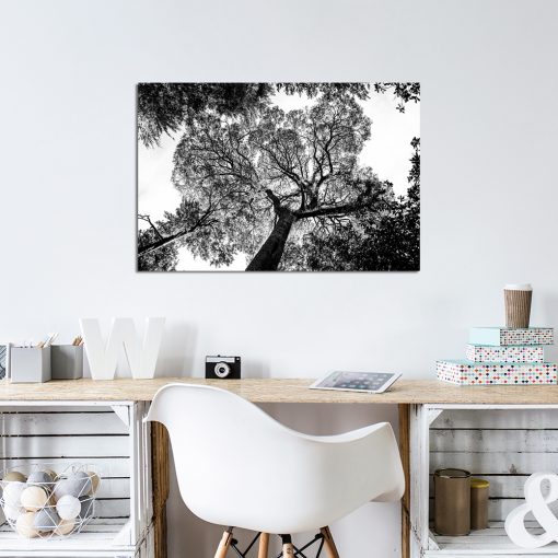Obraz z motywem korony drzewa do biura