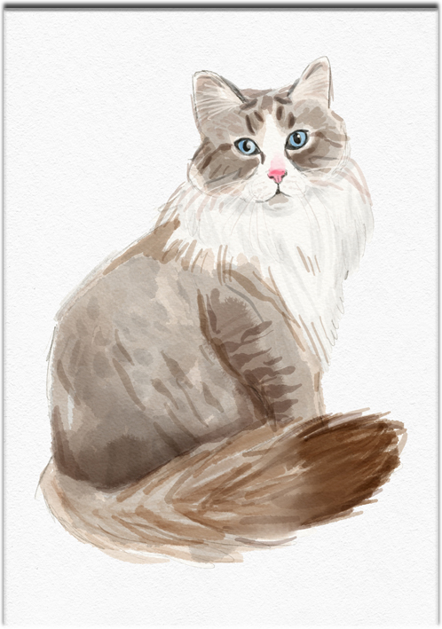 plakat z portretem kota syberyjskiego