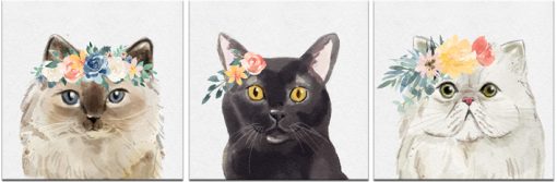 Obraz tryptyk z motywem kotów