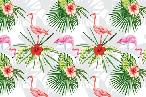flamingi jako tapeta
