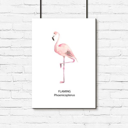 Plakat z flamingiem