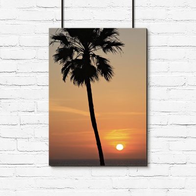 Plakat palma i zachód słońca