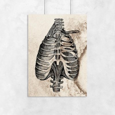 Plakat vintage z anatomicznym motywem