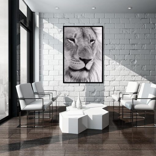 Plakat czarno-biały z lwem