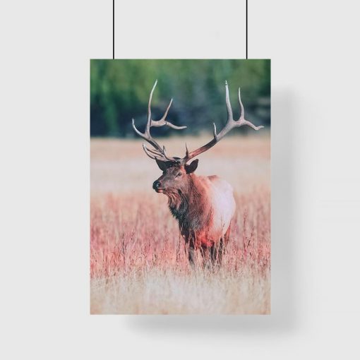 Plakat czerwony z jeleniem