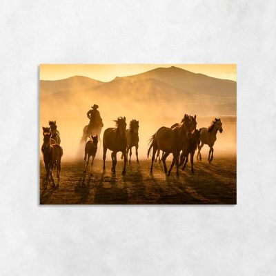 Obraz konie i kowboj
