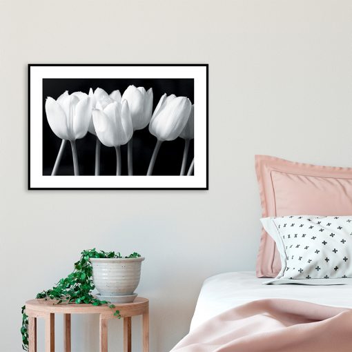 czarno-biały plakat z tulipanami