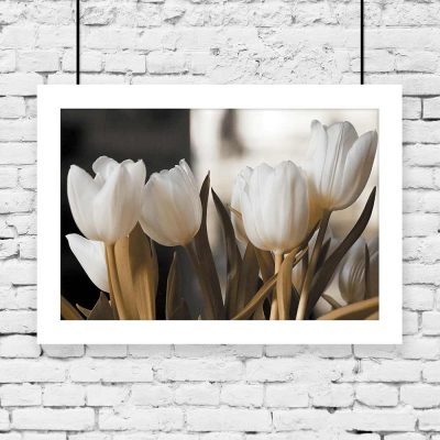 motyw białych tulipanów na plakacie
