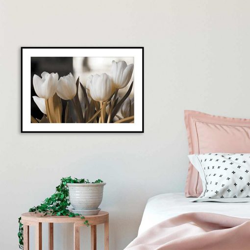 motyw białych tulipanów na plakacie