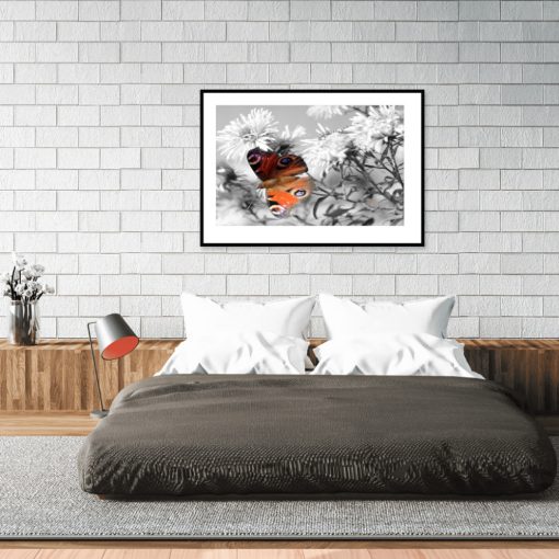 motyw motyla na plakacie nad łóżko