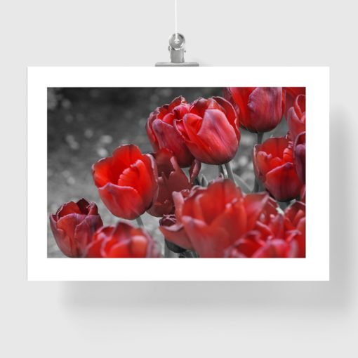 czerwony plakat z motywem kwiatowym