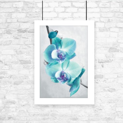 niebieski plakat z orchideą