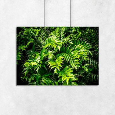 zielony plakat z motywem roślinnym