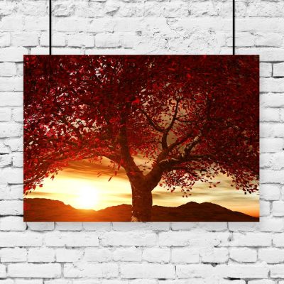 plakat z motywem zachodu słońca i drzewa