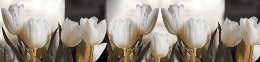 tulipany na fototapecie do kuchni
