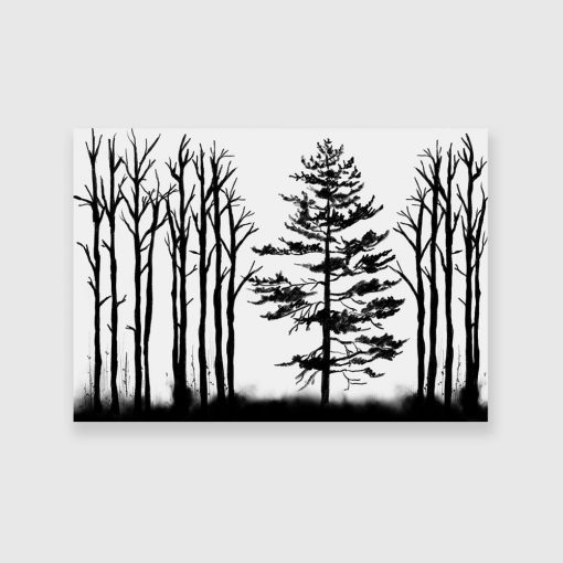 czarno-biały obraz las