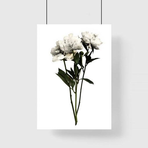 motyw kwiatowy na plakacie białym