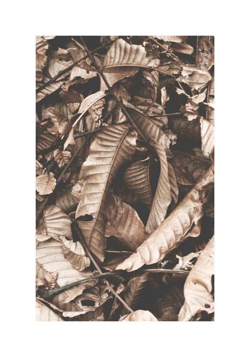 Plakat z jesiennymi liśćmi