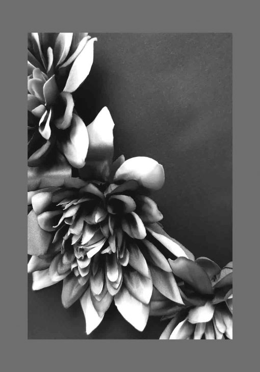 Plakat z kwiatami czarno-białymi