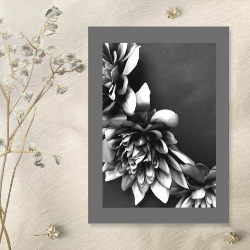 Plakat - Kwiaty czarno-białe na przedpokój