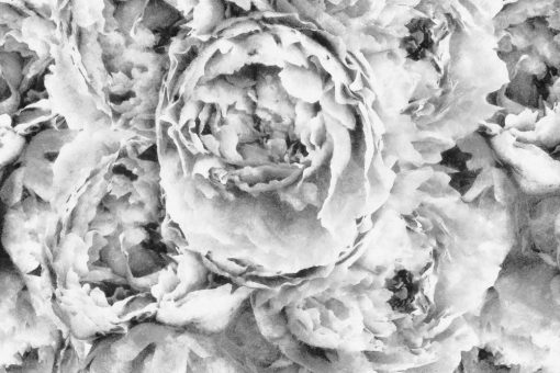 Szara fototapeta z kwiatami