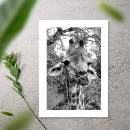 Plakat z afrykańskim zwierzęciem