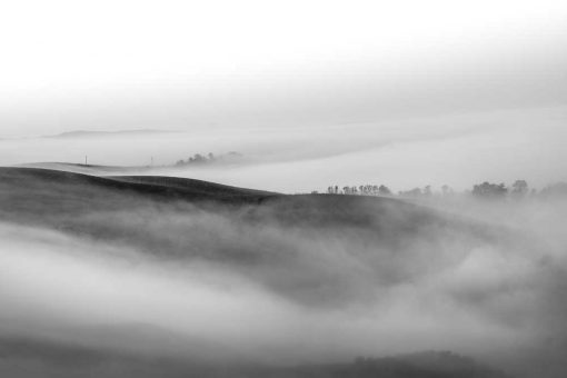 Obraz mgła nad polami wczesnym rankiem