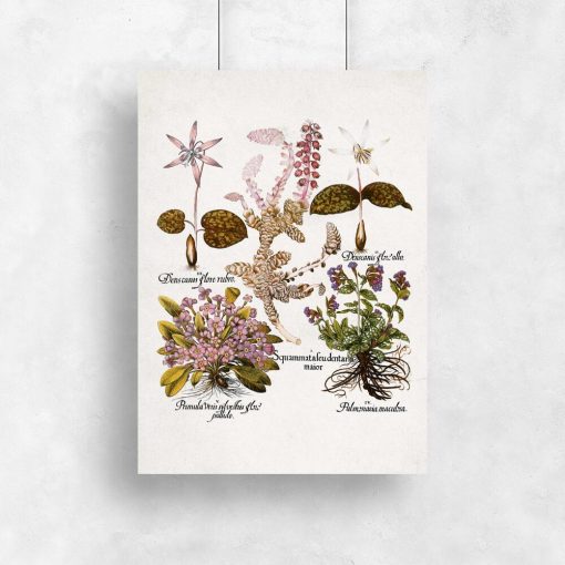 Plakat botaniczny z kwiatami ogrodowymi do kuchni
