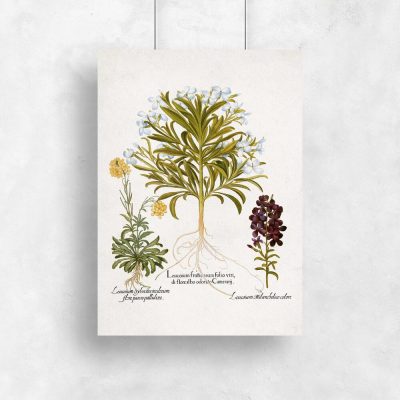 Plakat rośliny z kwiatuszkami