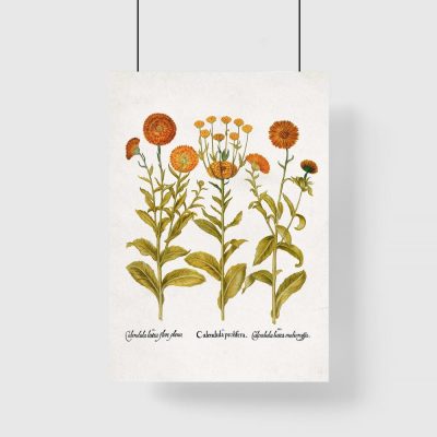Plakat z kwiatami
