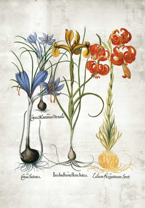 Plakat z motywem kwiatowym