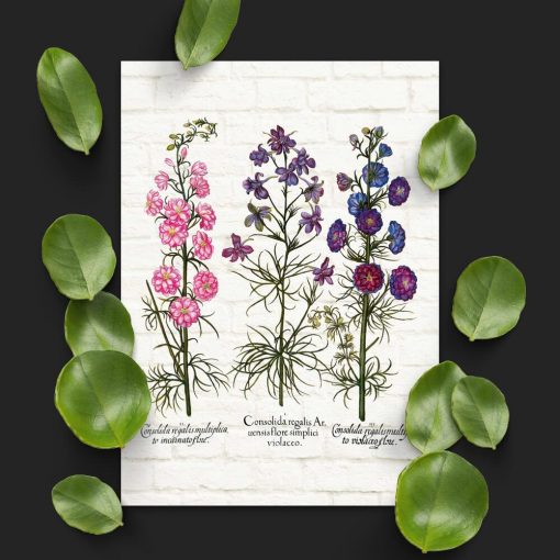 Plakat z roślinami leczniczymi i ich korzeniami