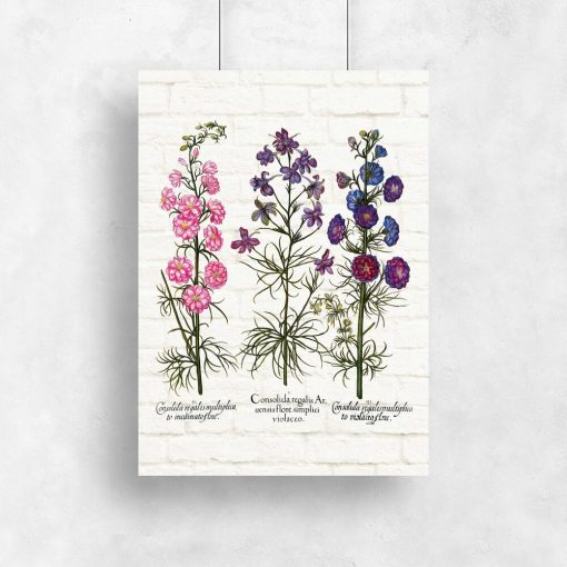 Plakaty z ziołami w kolorach różu