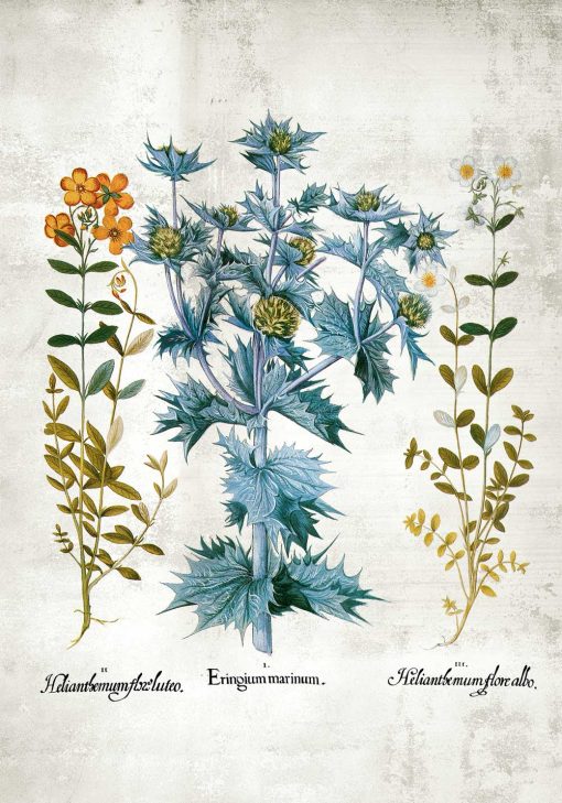 Plakat z kwiatuszkami