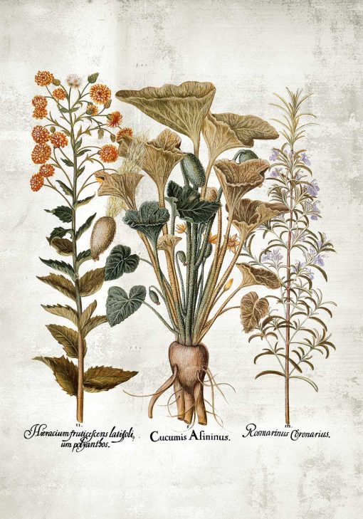 Plakat z motywem roślinnym