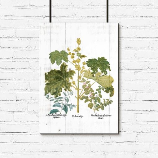 Plakat z roślinami liściastymi