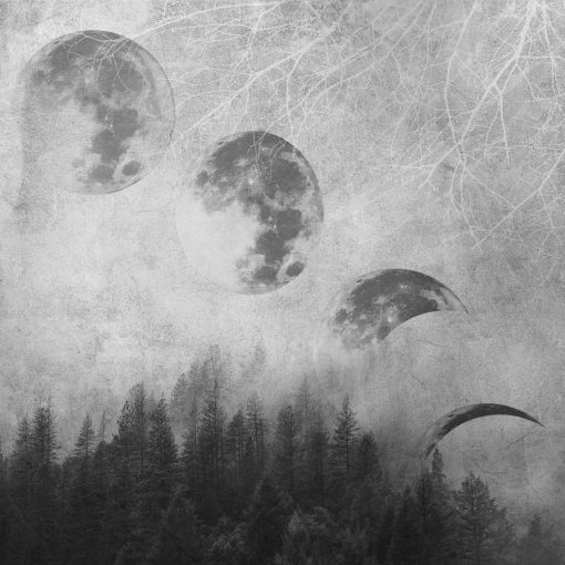 Fototapeta z fazami księżyca i drzewami