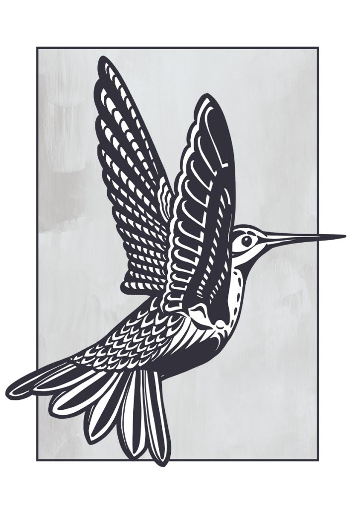 Plakat Koliber Dekochatka Kreatywne Dekoracje