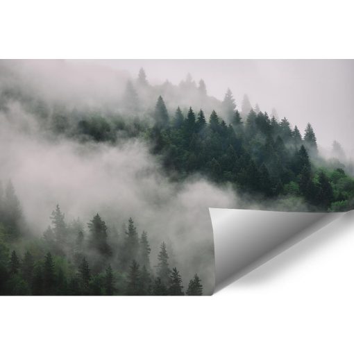 Fototapeta z drzewami we mgle